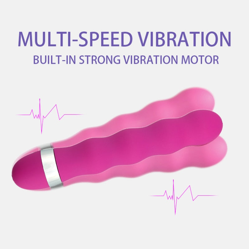Multi Speed Vibrator